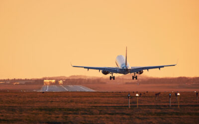 Where to land in Namibia for a safari?