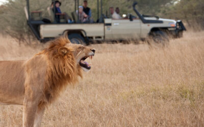 What is the most beautiful country for a safari?