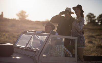 What color should not be worn on safari?
