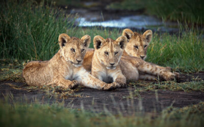 What is the best time to travel to Namibia?